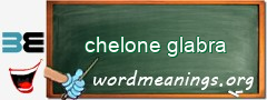 WordMeaning blackboard for chelone glabra